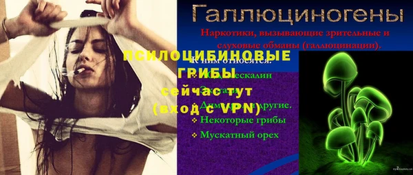 экстази Корсаков