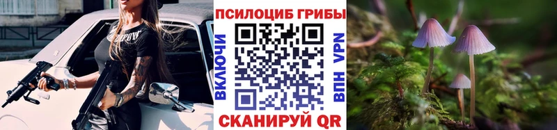 Галлюциногенные грибы мицелий  Купить где  Кирово-Чепецк 